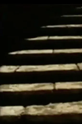 Filmtagebuch 2004 (2004)