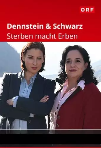 Dennstein & Schwarz (2018)
