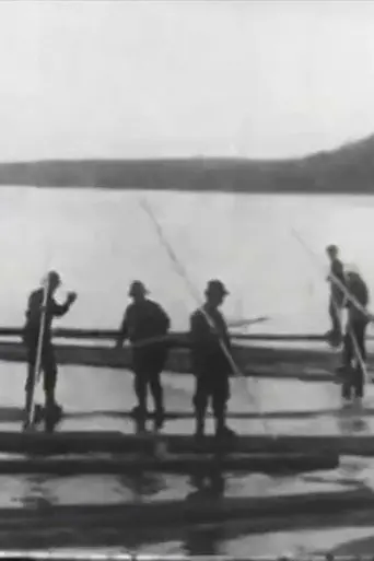 Logging in Maine (1906)