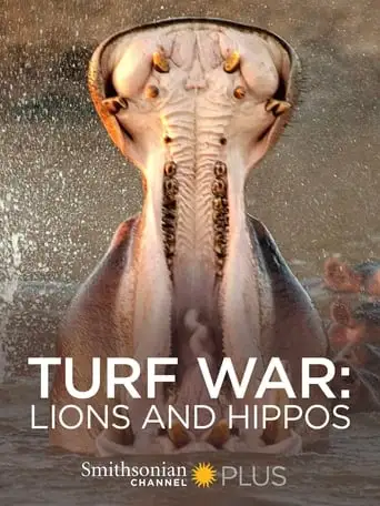 Turf War: Lions and Hippos (2009)