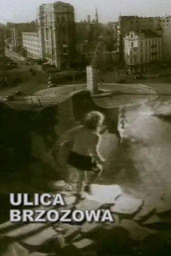 Brzozowa Street (1947)