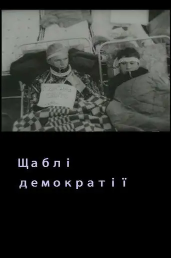 Levels Of Democracy (1992)