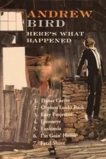 Andrew Bird: Here's What Happened (2012)
