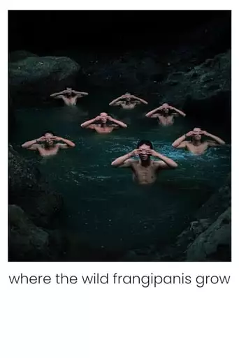 Where The Wild Frangipanis Grow (2023)