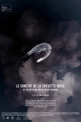 The Gray Shrimp Report (2021)