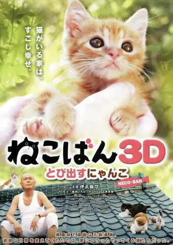 Nekoban: Cats in Your Life (2011)