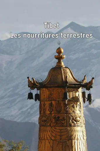 Tibet - Les nourritures terrestres (2011)
