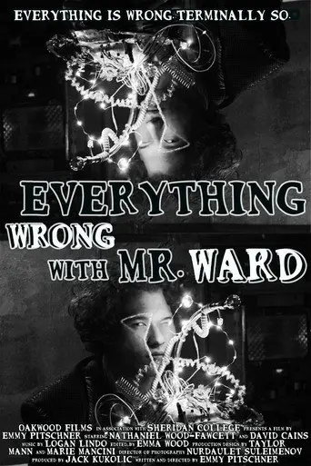 Everything Wrong with Mr. Ward (2024)