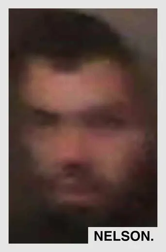 Nelson (2019)