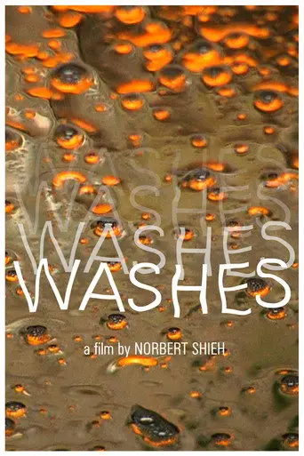 Washes (2010)