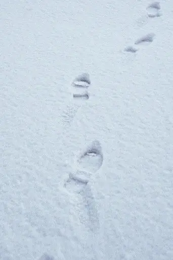 Terza passeggiata - Sulla neve (2019)