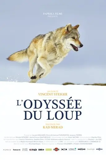 A Wolf's Journey (2019)