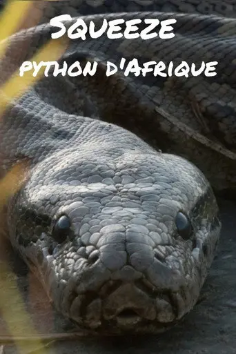 Squeeze: African Python (2017)