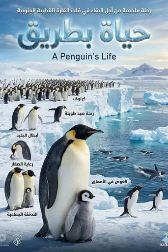 A Penguin's Life (2013)