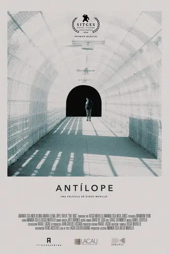 Antelope (2019)