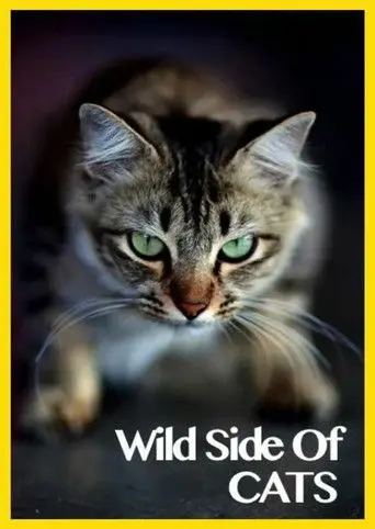 Wild Side of Cats (2013)