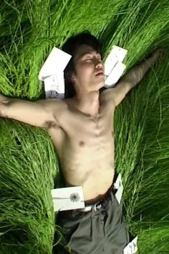 Pictorial Letters (2003)