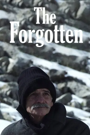 The Forgotten (2013)