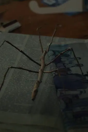 Walking Stick (2017)