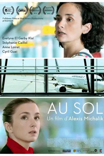 Grounded (2014)