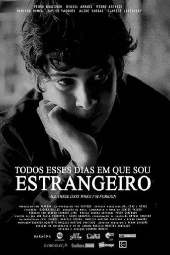 All These Days When I'm Foreign (2013)