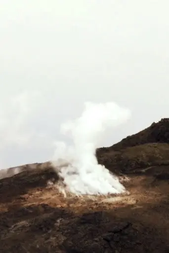 Into Earth’s Vibration (2011)
