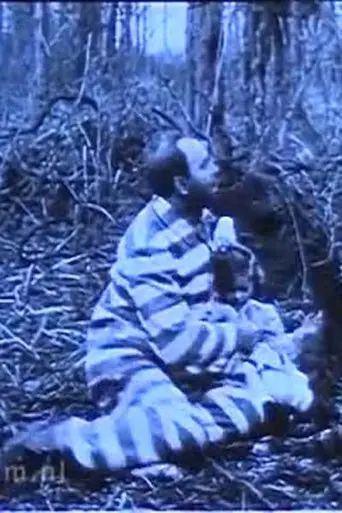 In Northern Forests (1911)