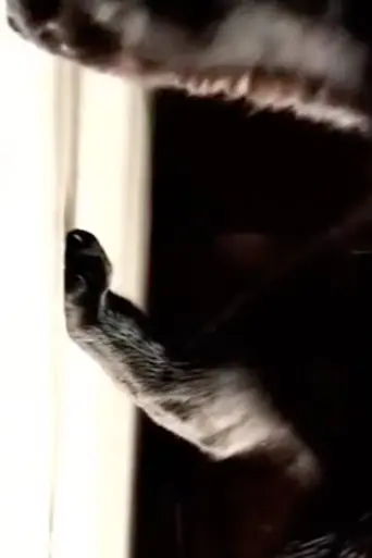 Empezando de cero (2004)