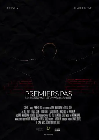 Premiers pas (2015)