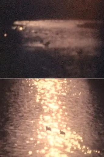 SHADOW FOREST (1991)