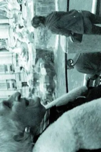 THE INTERPRETER OF BLACK AND WHITE FILMS (2007)