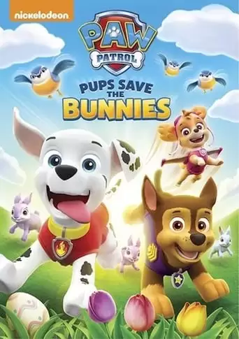 Paw Patrol: Pups Save The Bunnies (2017)