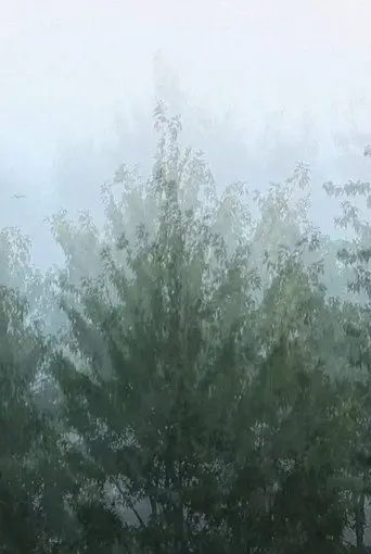 Wind (2019)