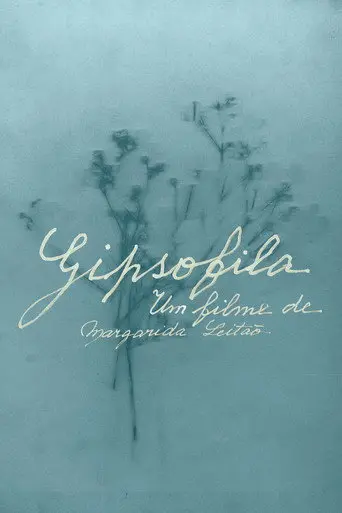 Gypsophila (2015)