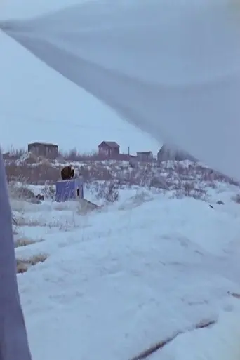 Some Natives of Churchill (1973)