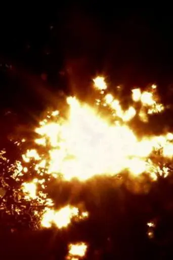 AurA (2009)