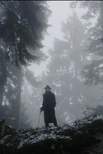 The Raven (2013)