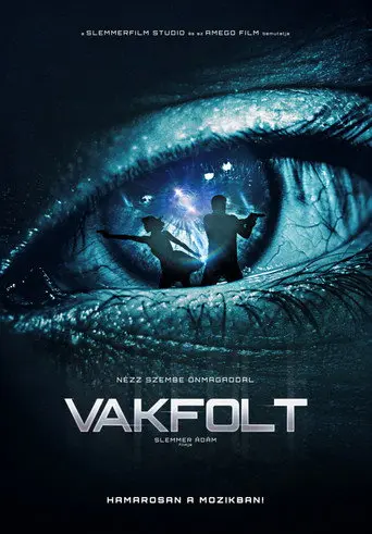 Blindspot (2017)