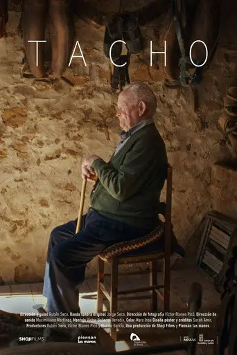 Tacho (2026)