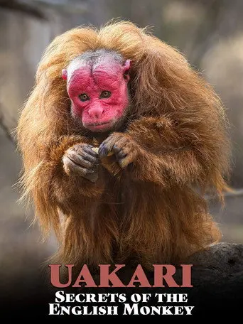 Uakari: Secrets of the English Monkey (2008)