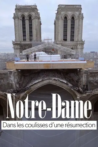 Notre-Dame of Paris, Rising from the Ashes (2021)