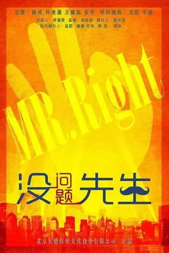 没问题先生 (2015)