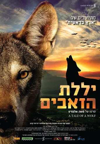 A Tale of a Wolf (2013)