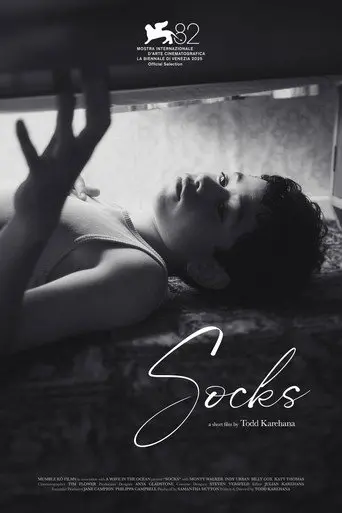 Socks (2026)