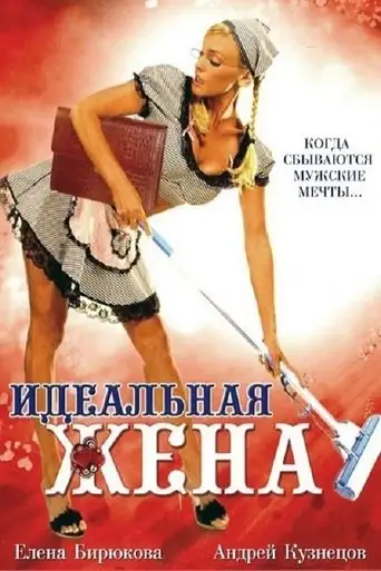 The Perfect Wife (2007)