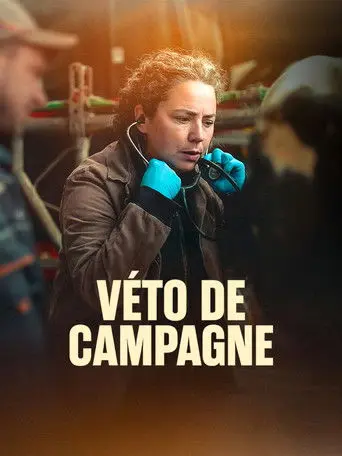 Véto de campagne (2026)
