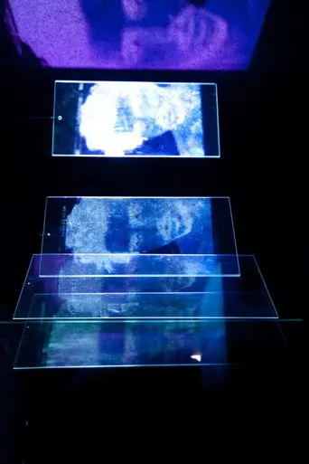 Face's Echoes (2010)
