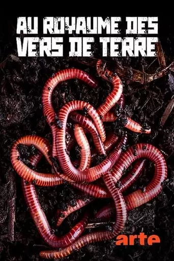 Im Reich Des Regenwurms - Der Boden Unter Unseren Fussen (2023)