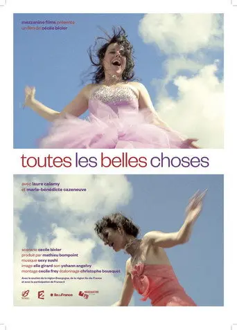 Toutes les belles choses (2013)