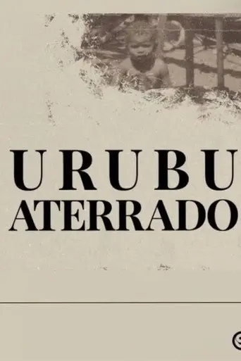 Urubu aterrado (2023)